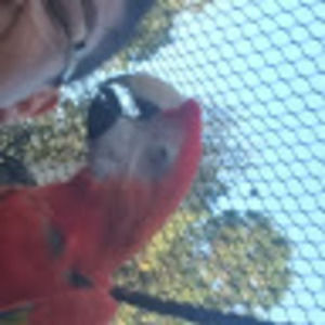 Meet your Posher, Arvin